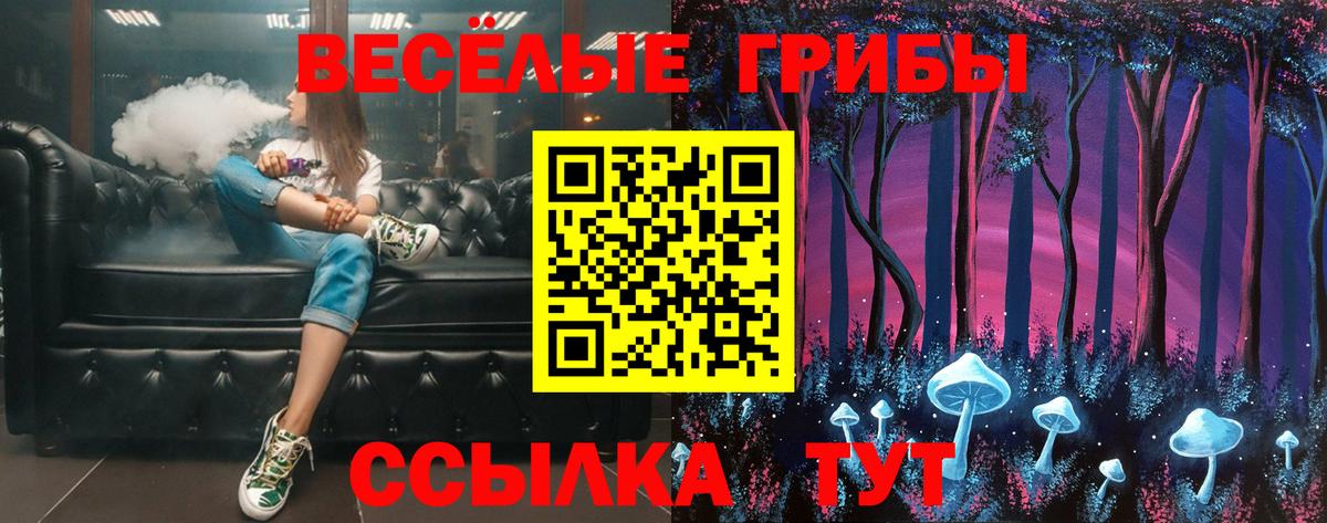 Галлюциногенные грибы Psilocybe Волгодонск