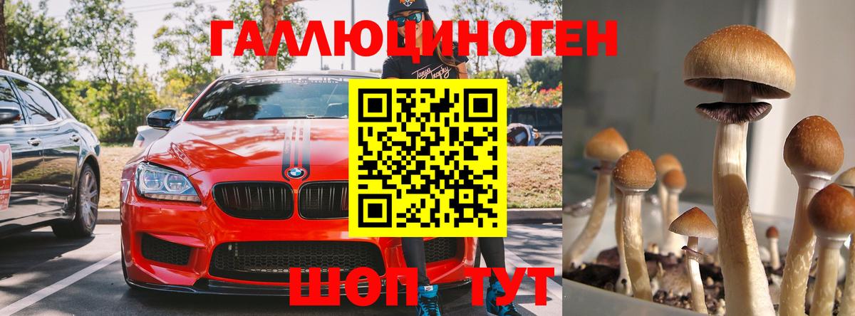 Волгодонск  Псилоцибиновые грибы Psilocybine cubensis  наркошоп  Вход с VPN 